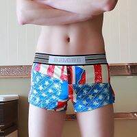 [COD] Mens Briefs Flag Print Pants HC647