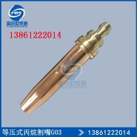 [Fast delivery] Genuine Junli Hengxin G03 isobaric propane cutting nozzle gas cutting nozzle No. 1 No. 2 No. 3 No. 4 Durable and practical