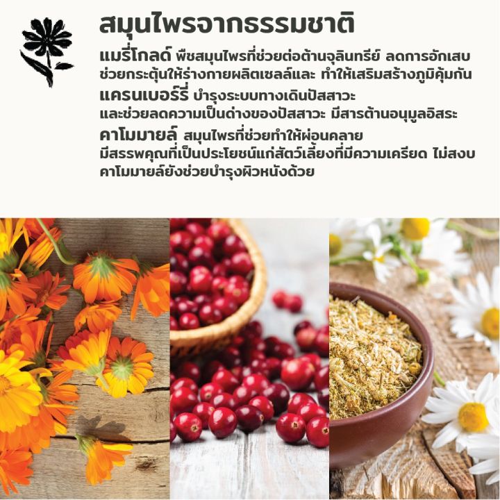 หมดกังวน-จัดส่งฟรี-canagan-คานาแกน-อาหารสุนัข-สูตร-ปลา-สคอททิชแซลมอน-ขนาด-6-กิโลกรัม-บริการเก็บเงินปลายทาง