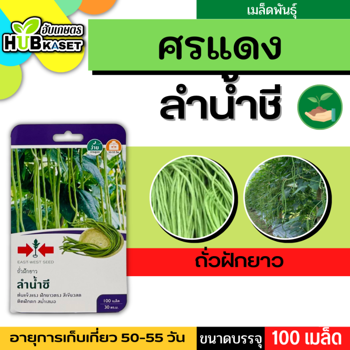 ศรแดง 🇹🇭 ถั่วฝักยาว ลำน้ำชี ขนาดบรรจุประมาณ 100 เมล็ด อายุเก็บเกี่ยว 50-55 วัน