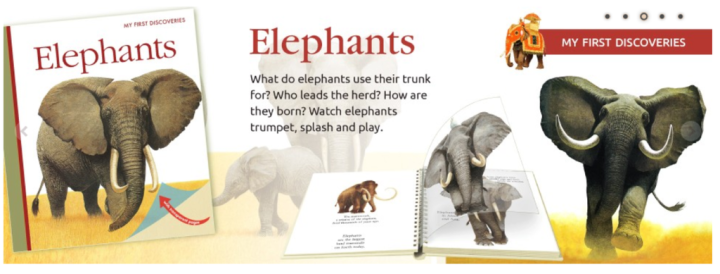 my-first-discoveries-book-หมอ-ประเสริฐ-แนะนำ-ความรู้-elephants-เล่มหนา-ปกแข็ง-ของแท้