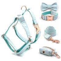 Turquoise Velvet Personalized Harness and Leash Set for Small &amp; Large Dogs Fully Adjustable Dog Collar with Safety Metal Buckles Collars