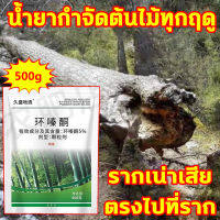 ?ตรงไปที่ราก? ยากำจัดต้นไม้ สารกำจัดกอไผ่ 500g ผงกำจัดต้นไผ่ ยาฆ่าตอไม้ สูตรเข้มข้น กำจัดวัชพืชรากเน่า ผลติดทนนาน ไม่เป็นอันตรายต่อดิน บอกลาการตัดต้นไม้ด้วยตนเอง ยากำจัดกอไผ่ กำจัดต้นไม้ กำจัดกอไผ่ ผงกำจัดกอไผ่ ปุ๋ยกำจัดกอไผ่ สารกำจัดต้นไม้ ยาฆ่าหญ้