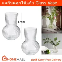 แจกันดอกไม้ แจกันแก้วใส แจกันแต่งบ้าน แจกันมินิมอล แจกันสวยๆ แจกันดอกไม้สด สวย หรู (2 อัน) Flower Glass Vase Tall Glass Case (2unit)