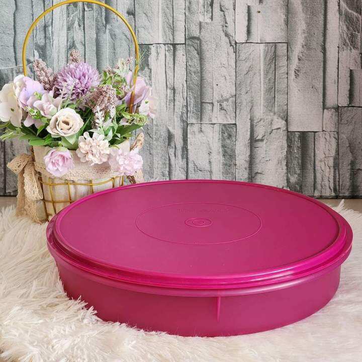 Tupperware Take A Lot Small 3.8L | Lazada