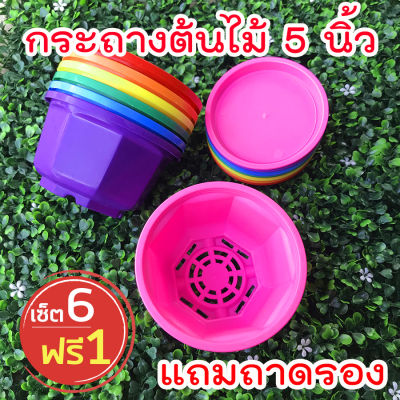 กระถางต้นไม้ 5 นิ้ว กระถางแคคตัส กระถางกลมทรง8เหลี่ยม พร้อมถาดรอง เซ็ต 6 ฟรี 1 ใบ homes