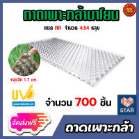 **ส่งฟรี**ถาดเพาะกล้านาโยน 434 หลุม แพ็ค 700 ชิ้น ถาดปลูกกล้านาโยน  ถาดนาโยน ถาดเพาะกล้า เพาะกล้านาโยน ทำนาโยน ถาดเพาะนาโยน