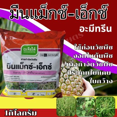 มีนแม็กซ์-เอ็กซ์ อะมีทรีน ชนิดเม็ด 1กิโลกรัม ตราเจียไต๋ ใช้ก่อนวัชพืชงอกในต้นพืช เพื่อกำจัดวัชพืชประเภทใบแคบ-ใบกว้าง