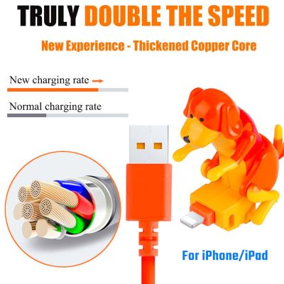 Fast Charge USB Cable For iPhone 11 12 13 14 15 Pro XS Max SE 5 6 7 8 Plus iPad USB Lightning Cable Phone Cord Data Charger