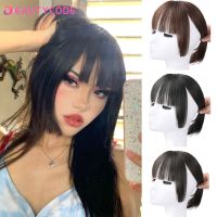 【DT】hot！ False Bangs Synthetic hair Hair Extension Fake Fringe clip on bangs HighTemperature wigs