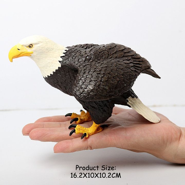 zzooi-realistic-plastic-birds-of-prey-figurines-bald-eagle-falcon-hawk-owl-vulture-animal-models-toy-figures-educational-set