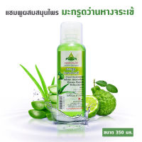 แชมพูมะกรูด+ว่านหางจระเข้ Shampoo Bergamot+Aloe Vera 350 มล. บำรุงรากผมและหนังศรีษะให้แข็งแรง ปรับสภาพเส้นผมให้อ่อนนุ่ม ฟื้นฟูผมเสียกลับมาสุขภาพดี