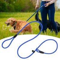 Anti-pull Nylon Pet Traction Leash Even Force P-shaped Chain Anti-bite Good Toughness Pet Dogs Traction Rope Pet Supplies