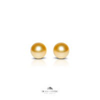 ต่างหู ไข่มุก Golden South Sea Pearl 10 mm