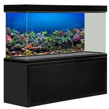 Shop Fish Tank Background 3d online - Aug 2022 