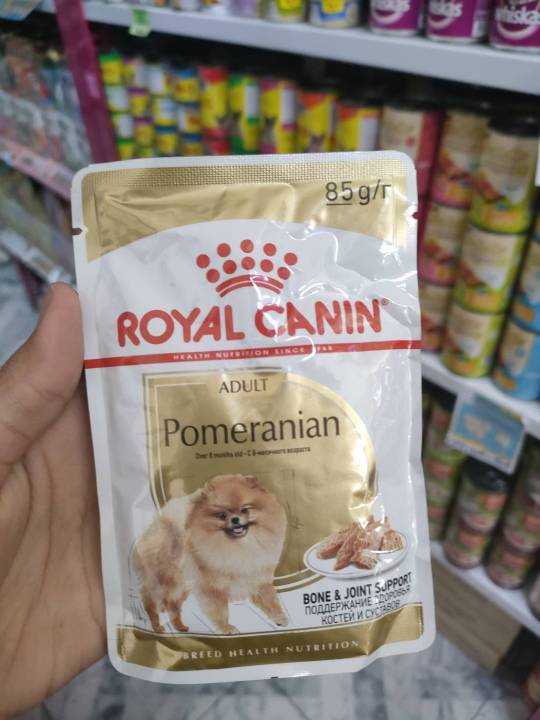 42pets-royal-canin-อาหารเปียกสุนัขเฉพาะสายพันธุ์-สำหรับพันธุ์เล็ก-pomeranina-chihuahua-poodle-shih-tzu-yorkshire