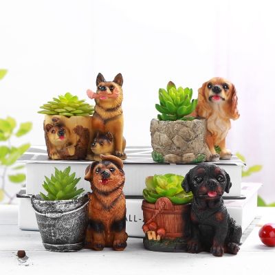 [Like Activities]1PC Swich Withoutfor เซรามิก Succulents