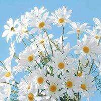 Artificial Plant Flowers Realistic Fake Flowers Daisy For Home Wedding Paarty Decora Garden Office Table Decorations