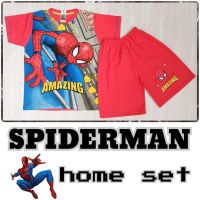 ชุดเสื้อแขนสั้น กางเกงขายาว ลาย Dino Spiderman Transformer สําหรับเด็กผู้ชาย ไซซ์ 4 และ 6 ปี