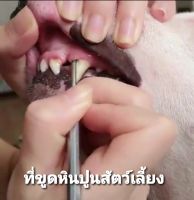 ที่ขูดหินปูนสุนัข ที่ขูดหินปูนแมว ที่ขูดหินปูนสัตว์เลี้ยงแบบหัว 2 ด้าน