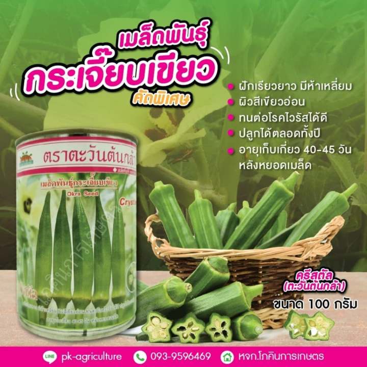 เมล็ดพันธุ์กระเจี๊ยบเขียว-ครีสตัล-ตะวันต้นกล้า-ขนาด-100-กรัม