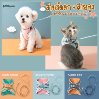 PEEKAPAWS สายรัดอก พร้อมสายจูง สำหรับแมวและสุนัขพันธุ์เล็ก