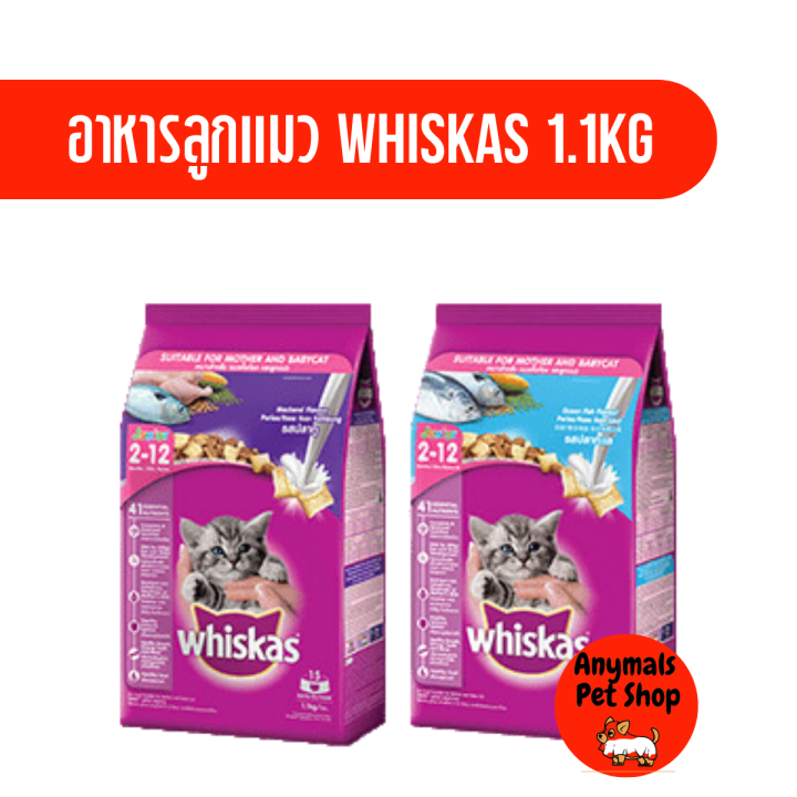 whiskas-วิสกัส-อาหารลูกแมว-ชนิดเม็ด-สำหรับลูกแมว-2-12-เดือน-ขนาด-1-1-กิโลกรัม
