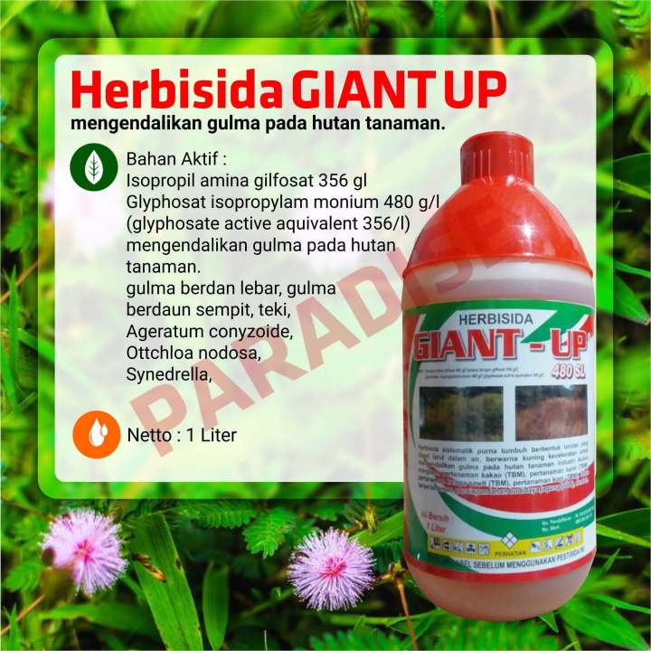 Herbisida Giant Up Obat Rumput Liar Basmi Sampai Akar 1 Liter Lazada