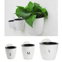 Plastic S/M/L Self-watering Pot Wall Hanging Garden lg