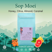 HILLKOFF : Sop Moei Arabica Specialty Roasted เมล็ดกาแฟคั่ว กาแฟ อาราบิก้าแท้ 100% อราบิก้า สเปเชียลตี้ สบเมย ขนาด 500 กรัม