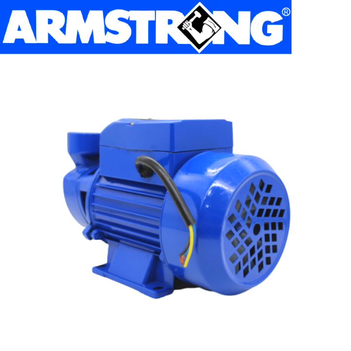 ARMSTRONG PERIPHERAL WATER PUMP 1/2 HP 0.5 HP Lazada PH
