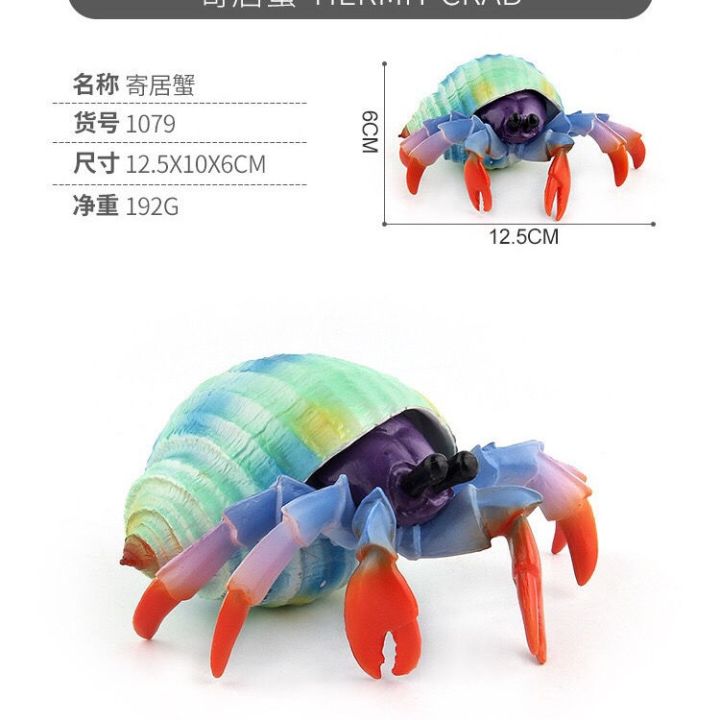 simulation-model-of-marine-sea-creatures-toy-animals-crab-male-hermit-crab-children-girl-birthday-gift