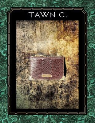 TAWN C. Exotic Skin Accessory &amp; Stationary Collection - Lizard Skin, Coin Pouch in Ebony Brown