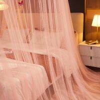 exinshangmao Mosquito Net Ceiling Household Palace-Style Single Door Lace Floor Bed Curtain Installation-Free 1.2-2 M UniversalTH