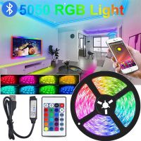 5/10/15/20M LED Strip 5050 RGB Lights Holiday Neon Lamp Infrared Bluetooth Remote Control Led lights for Room Wedding Decor LED Strip Lighting