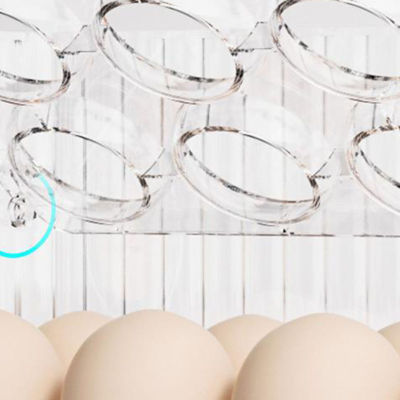ถาดไข่หลายชั้นแบบพกพาที่ใส่ไข่กันตกสำหรับเก็บไข่ที่ทำให้ตู้เย็นของคุณเป็นระเบียบ