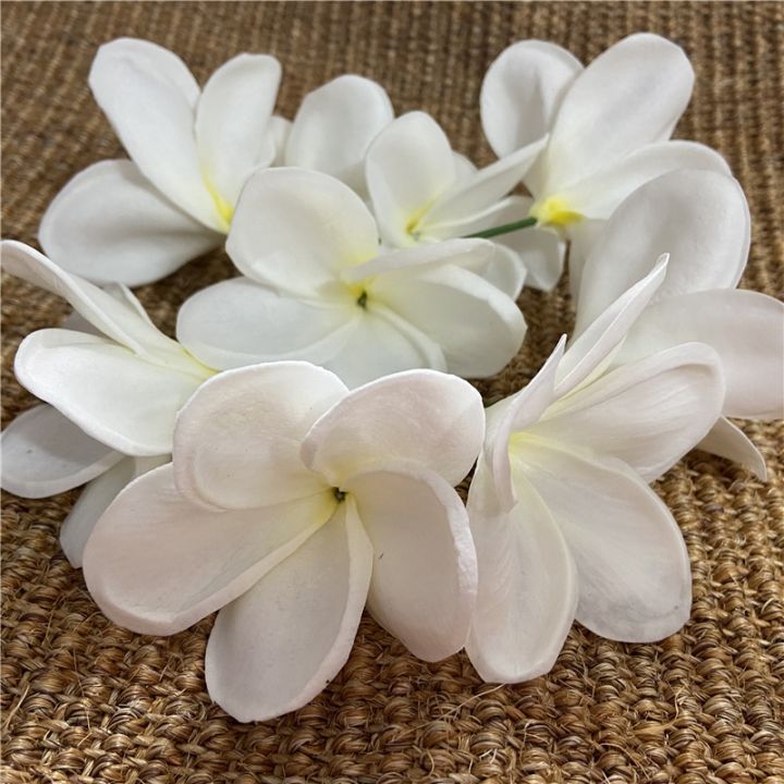 a-shack-20-plumeriasreal-touch-frangipanihead-cakewedding-ตกแต่งดอกไม้ประดิษฐ์ฮาวาย-tropical-flower