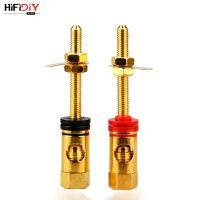 HIFIDIY LIVE 2pcs speaker DIY  lengthen terminal connector binding post HIFI amplifier Pure cupper Gold-plated Banana socket Professional Audio Access