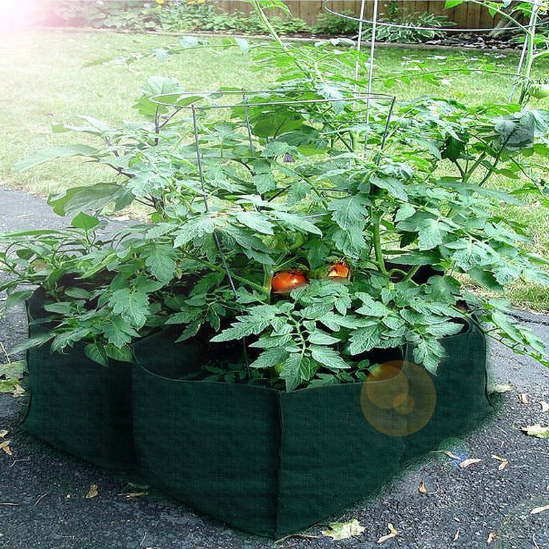 Vegetables TiTa-Dong Garden Plant Bed,4 Divided Grids Raised Breathable Garden Vegetable Bed Indoor Outdoor Planter Pot for Plants Flowers 
