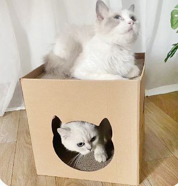 xcutememeow-ที่ลับเล็บแมวลดราคา-ราคาถูก-ที่ฝนเล็บแมว-ที่ลับเล็บแมว-ของเล่นแมว-ฝนเล็บแมว-ลับเล็บแมว-บ้านแมว-กล่องสี่เหลี่ยม