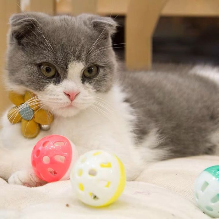 ใหม่-ของเล่นแมว-ลูกบอลกระดิ่ง-cats-toy-bell-ball-ลูกกระพรวน-ลูกกระดิ่ง-สำหรับสัตว์เลี้ยง-คละสี-พร้อมส่ง