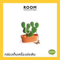 Qualy : Caccessories Tray / กล่องอเนกประสงค์ ที่แขวนเครื่องประดับ ที่เก็บเครื่องประดับ รูปกระถางต้นกระบองเพชร