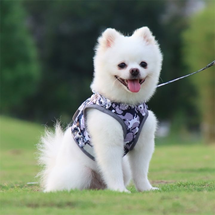 small-dog-harness-with-leash-set-polyester-cotton-reflective-no-pull-pet-walking-harness-vest-collar-for-puppy-medium-large-dog
