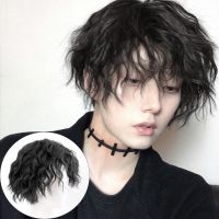 DIANQI Males Wig  Short Curly Black Synthetic Wigs With Bangs for Men Women Boy Fake Hair