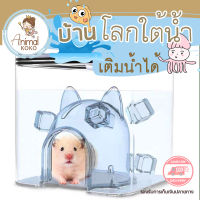 [Animal KOKO] บ้านเย็น แฮมสเตอร์ บ้านเติมน้ำได้ ? ยี่ห้อ Zoog ปกป้องสัตว์เลี้ยงจากความร้อน สำหรับแฮมสเตอร์พันธ์ุเล็ก สินค้ามีไฟในตัว