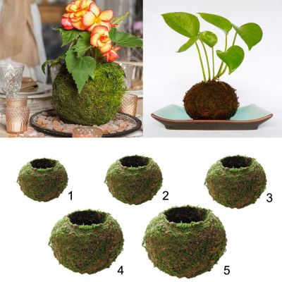 【CC】 Moss Pot Bonsai Holder Garden Decorations 1PC