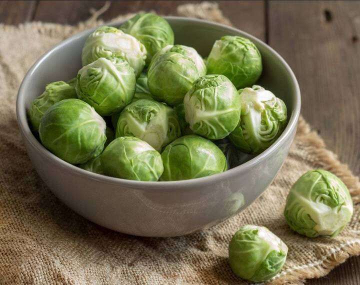 กะหล่ำดาว-เมล็ดพันธุ์กะหล่ำดาวบรัสเซล-brussel-sprouts-seeds-บรรจุ-10-เมล็ด