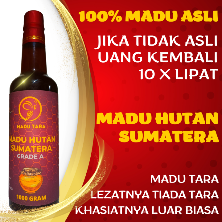 Madu Hutan Sumatera Madu Asli Madu Mentah Murni Raw Honey Madu Tara