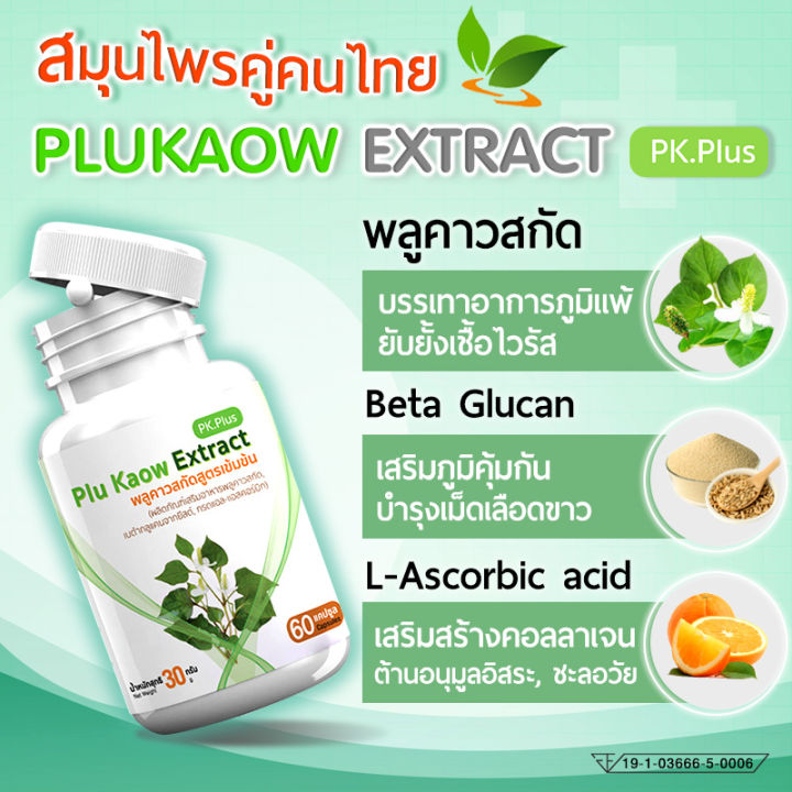 ส่งฟรี-ส่งไว-plu-kaow-pk-plus-ผลิตภัณฑ์เสริมอาหาร-พลูคาวสกัดชนิดแคปซูล-1แถม1-120-แคปซูล