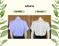 เสื้อนักศึกษาหญิง หลังสาบ เข้ารูป